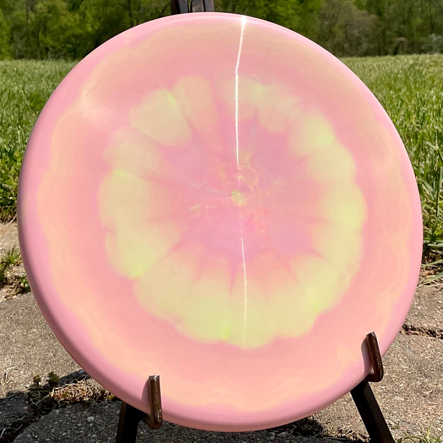 Discraft Zone - 2023 Adam Hammes Tour Series