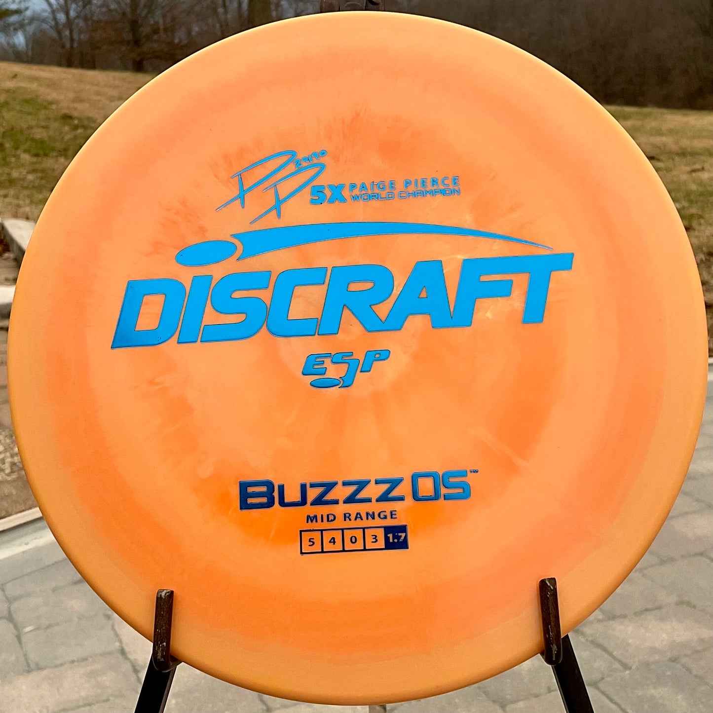 ESP Buzzz OS
