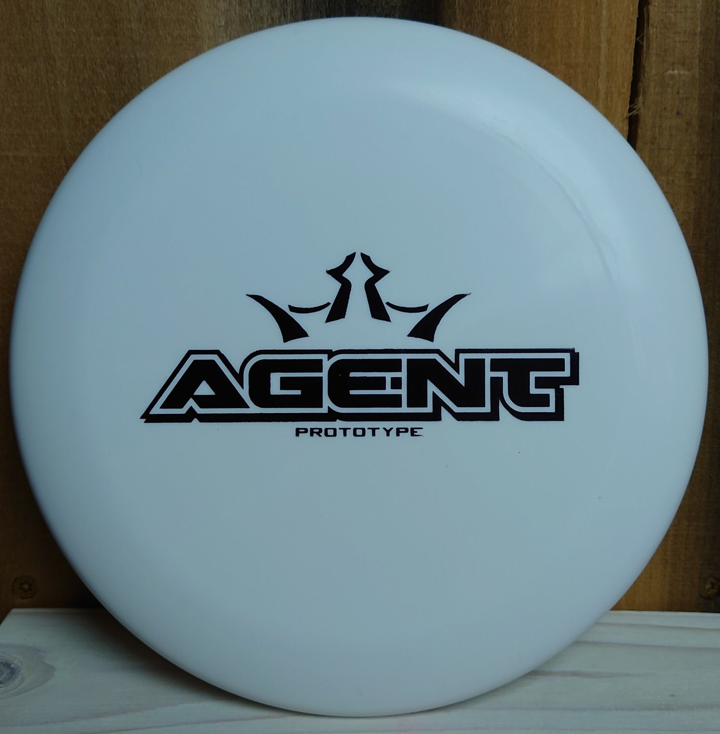 Dynamic Discs Agent Prototype